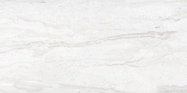 DYNA ROYAL POLISHED - Image 4