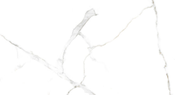 CALACATA BIANCO 701 MATT