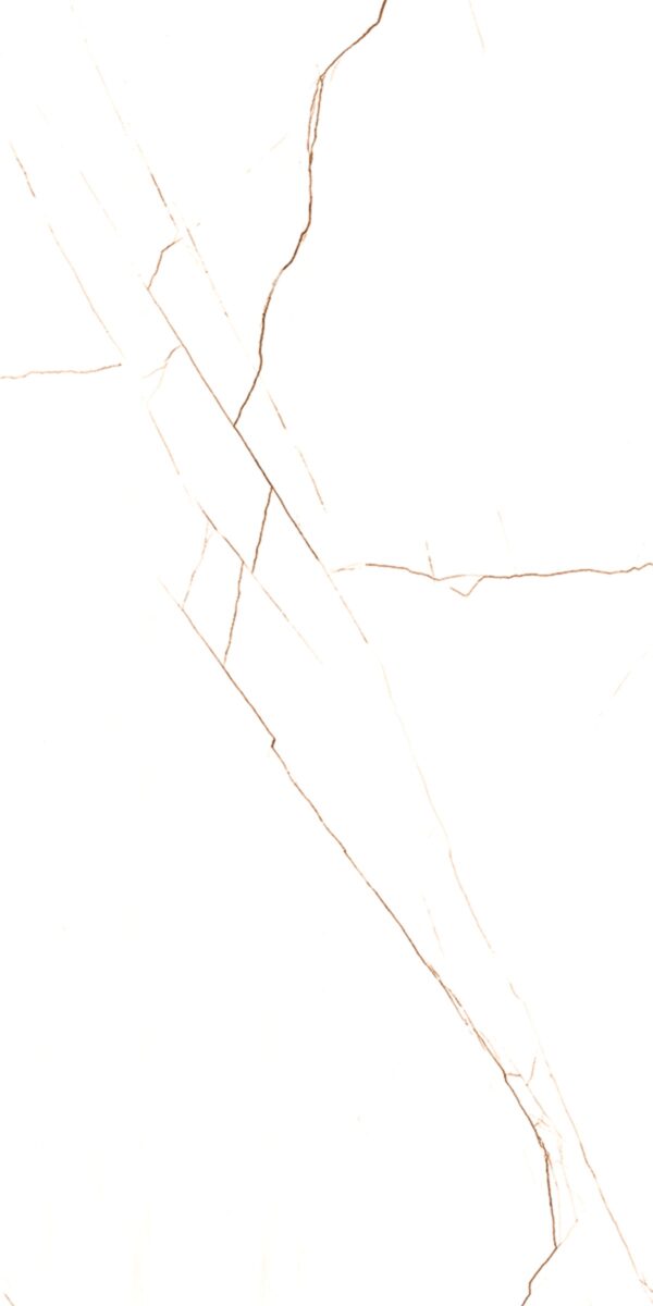 BRUNO CHOCHO - Image 3