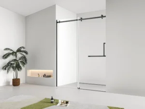 Matte Black Frameless Shower Glass Door